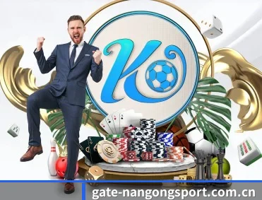 实时比分与赛程查询